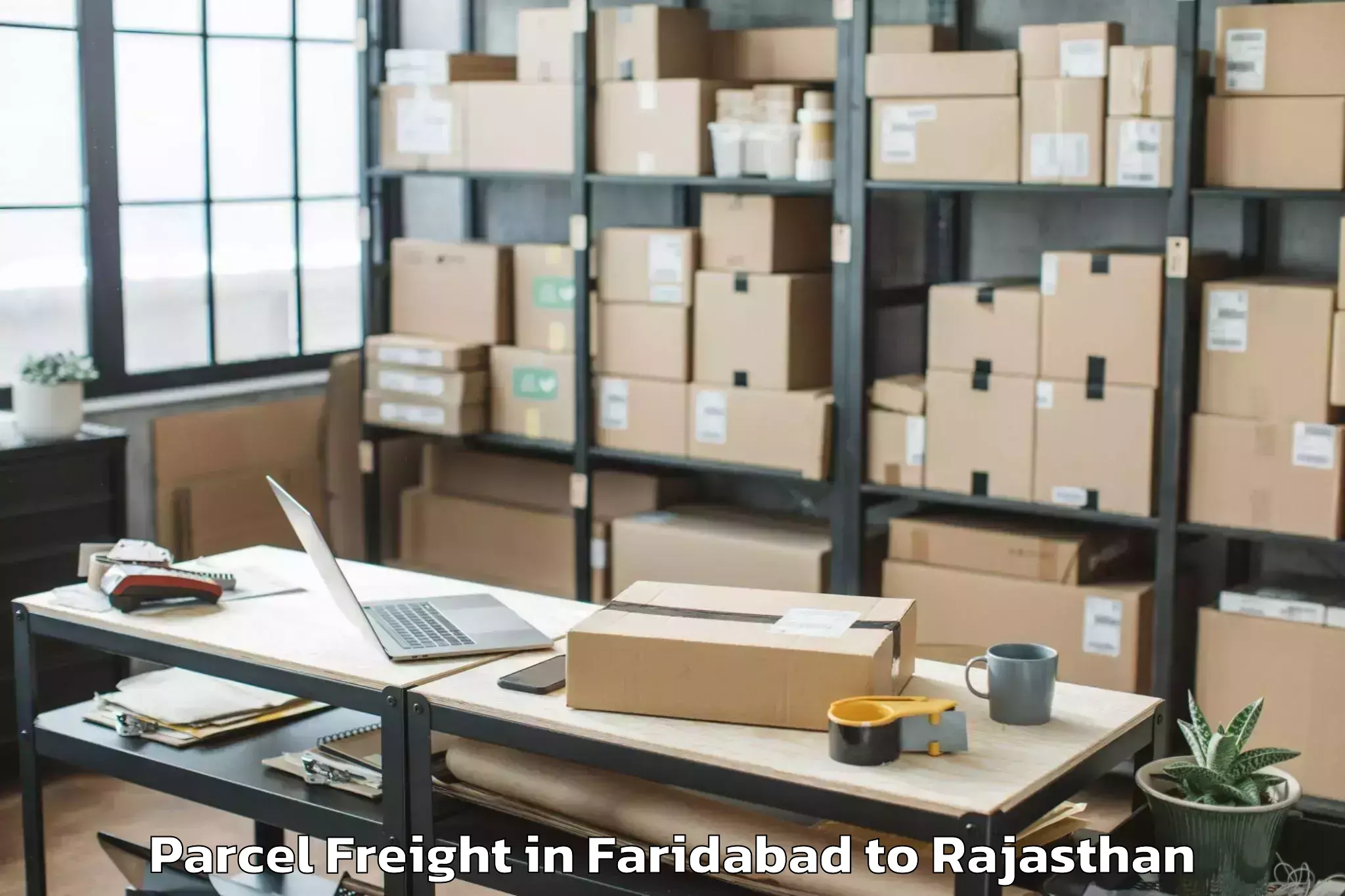 Quality Faridabad to Bhadra Hanumangarh Parcel Freight